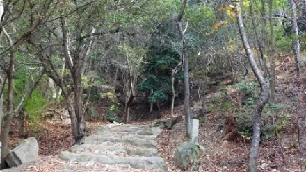 登山道や山間部での盗難防止・連絡